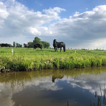 Vakantiehuis In Friesland Voor De Hele Familie Huns Dış mekan fotoğraf