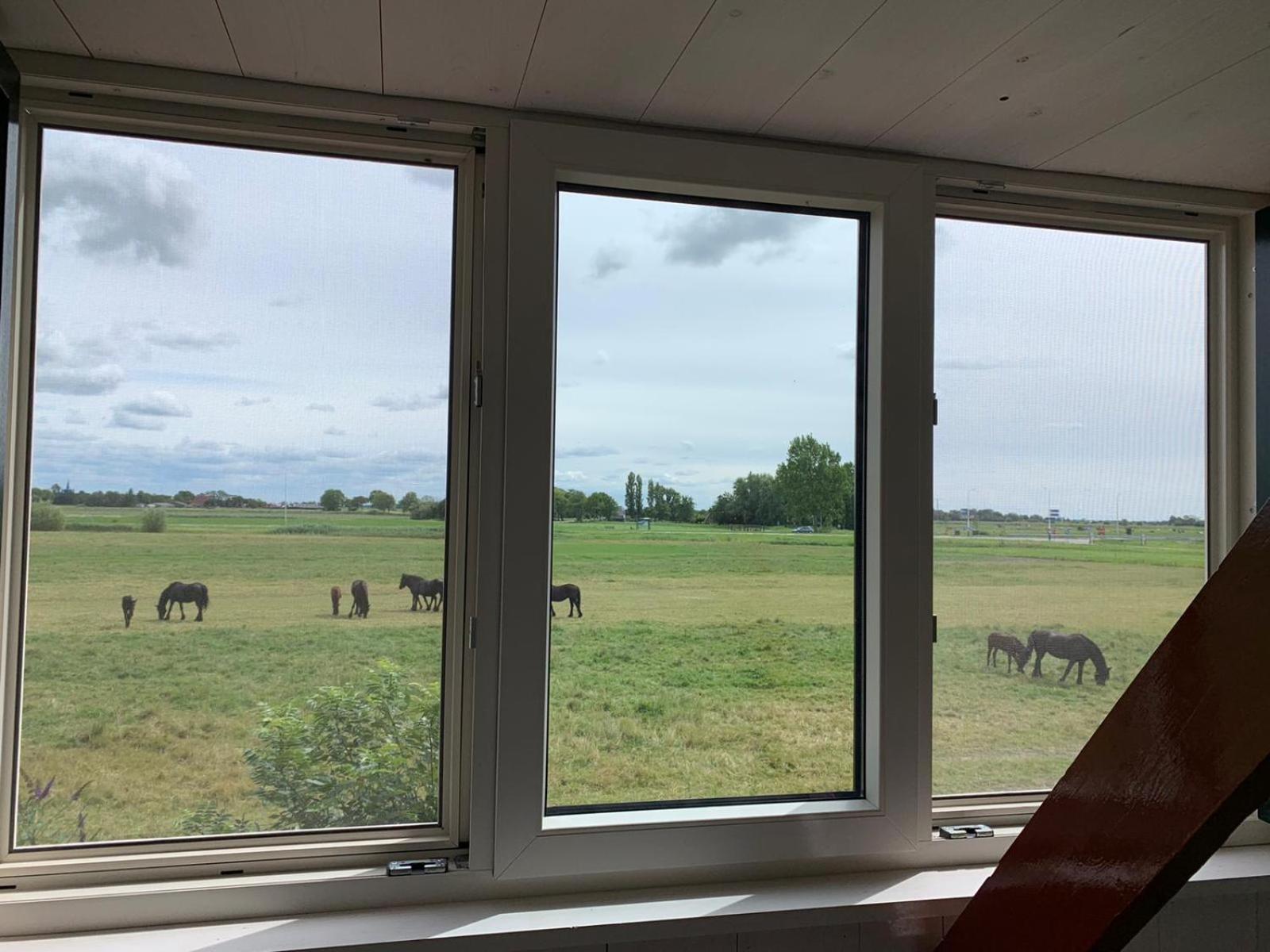 Vakantiehuis In Friesland Voor De Hele Familie Huns Dış mekan fotoğraf