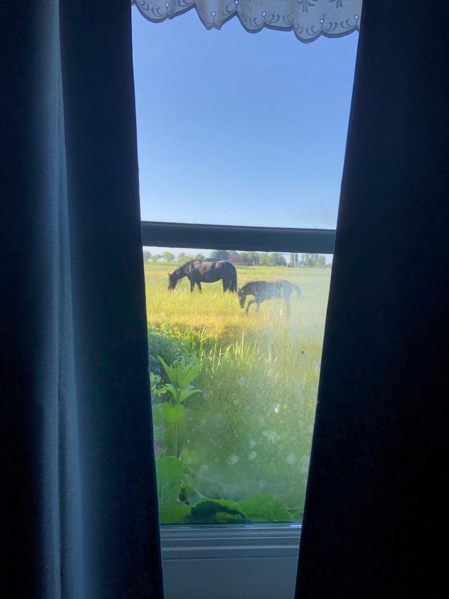 Vakantiehuis In Friesland Voor De Hele Familie Huns Dış mekan fotoğraf
